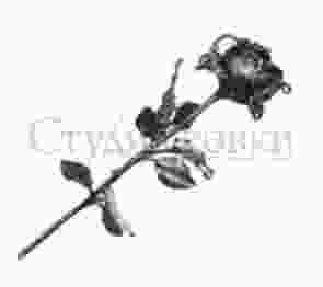 Кованая роза (не крашеная) арт. SK23.19 разм. 500 d70